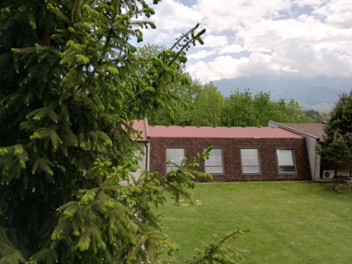 Pensiunea Muntele Rece Bran  Exterior foto