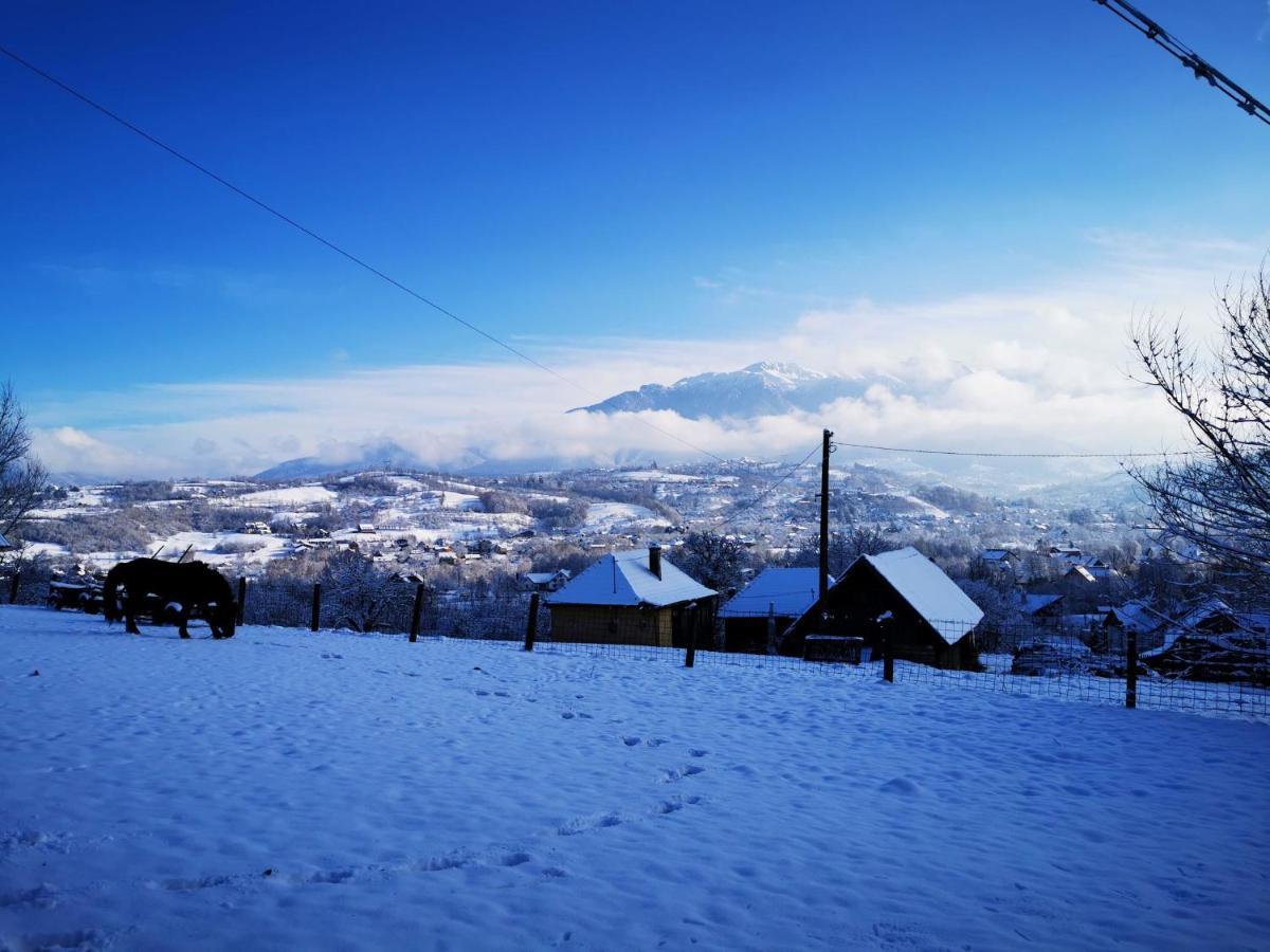 Pensiunea Muntele Rece Bran  Exterior foto