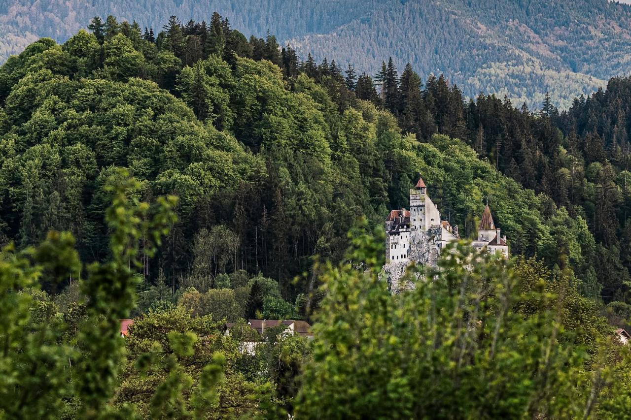 Pensiunea Muntele Rece Bran  Exterior foto